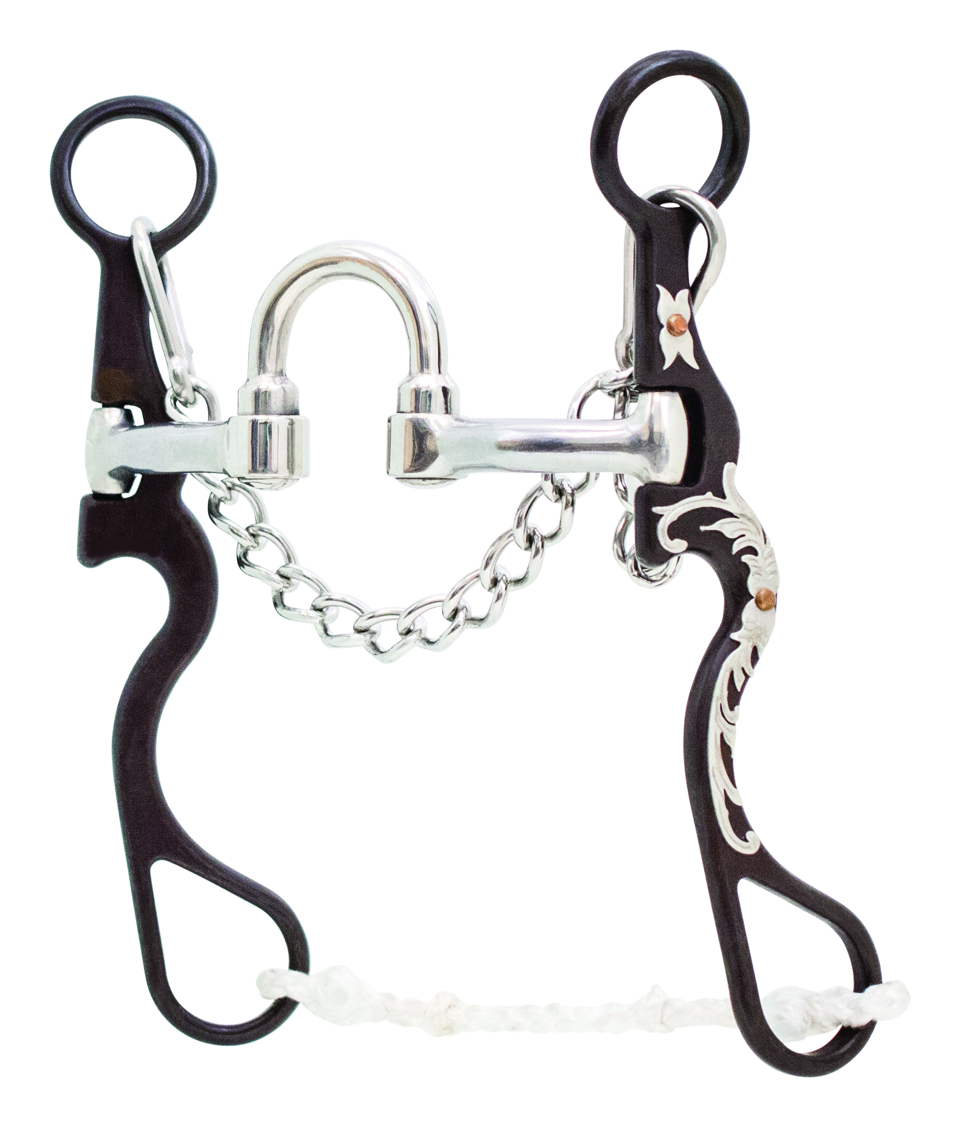 Correctional Bit - Tyler Magnus Series