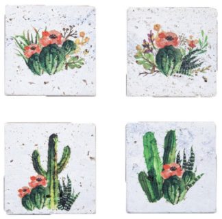 Blooming Cactus Coaster Set